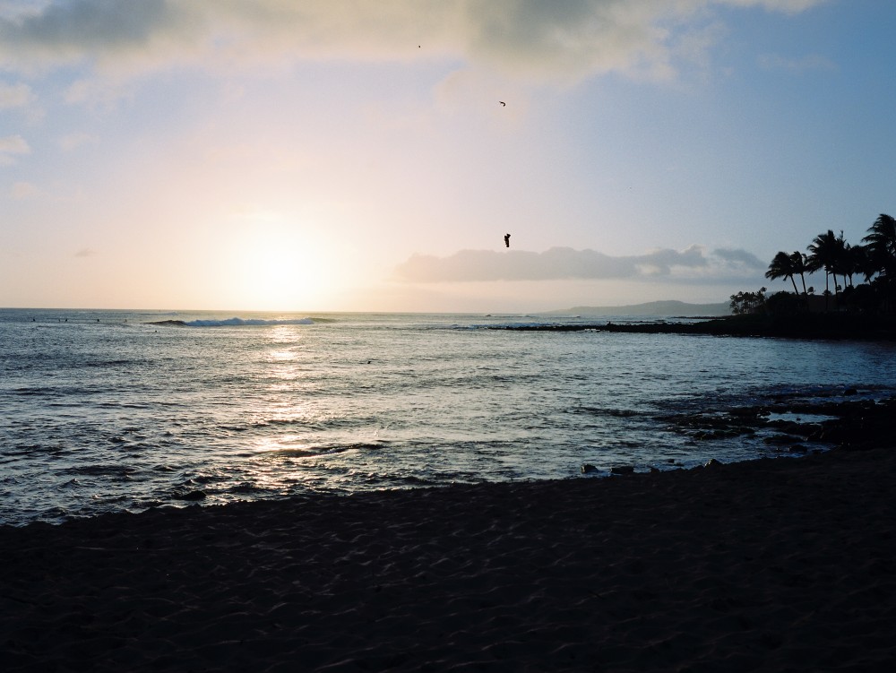 hawaii film photographer_0215