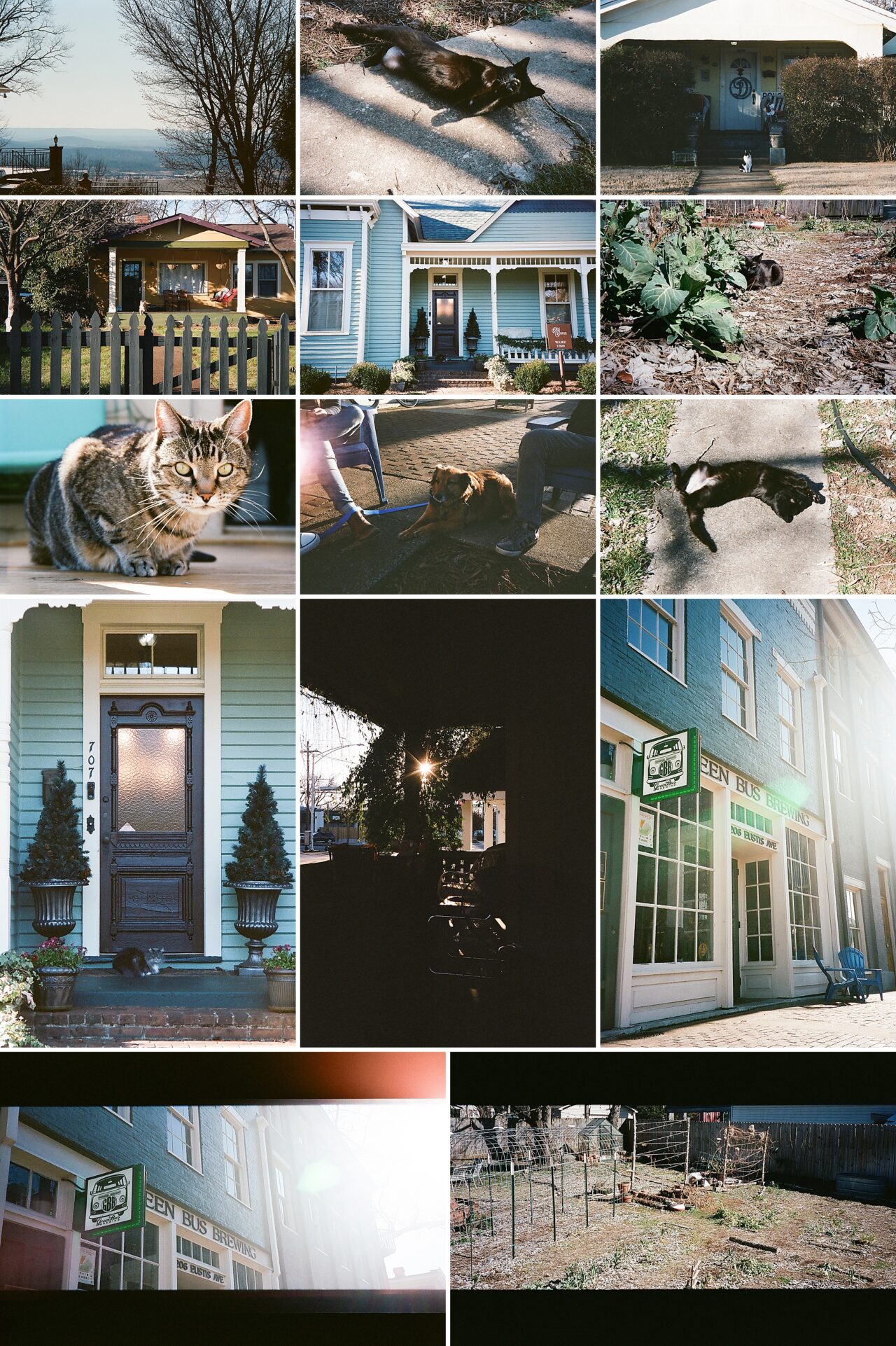 2021 Year in Review | White Rabbit Studios